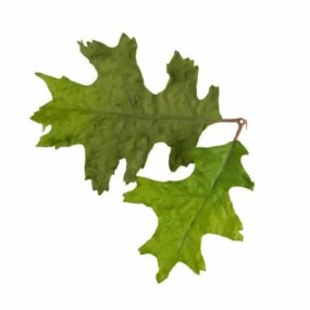 Leaf Camo LC4 Verde roble -...