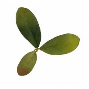Leaf Camo – LC2 - Emerald