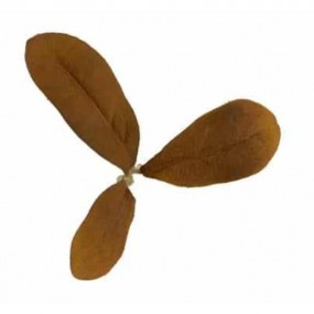 Leaf Camo – LC2 - Peat