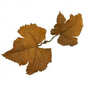 Leaf Camo LC1 Sienna -...